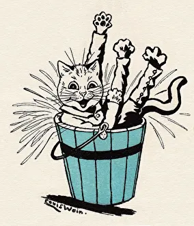 Pussys: Louis Wain cats
