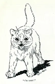 Comical: Louis Wain comical cat - I'm Lost