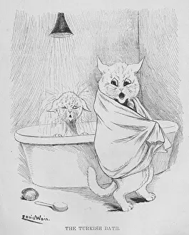 Humanised: Louis Wain - Turkish Bath