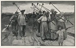 Hoes: LOUISIANA SUGAR WORKERS