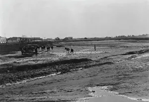 Marques: Lourenco Marques in Mozambique, around 1900