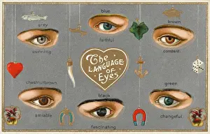Fascinating: LOVE/LANGUAGE OF EYES