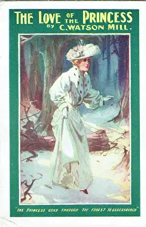 Ferndale: The Love of the Princess by A Watson Mill