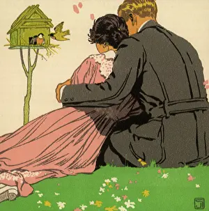 Cuddle: Lovebirds