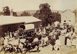 Lovedale: Lovedale Institution