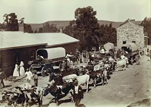 Lovedale: Lovedale Institution