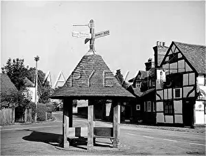 Necessarily: LOVELY BUS SHELTER