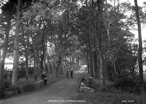 Carrickfergus: Lover's Lane, Carrickfergus