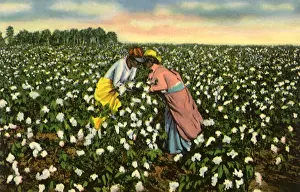 Lean: Lovers Picking Cotton