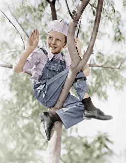 Harmful: Low angle view of a boy sitting in a tree