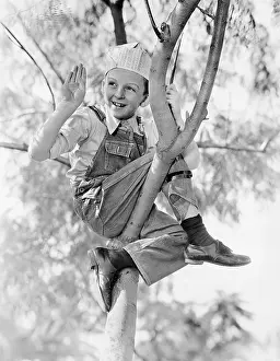 Hazardous: Low angle view of a boy sitting on a tree