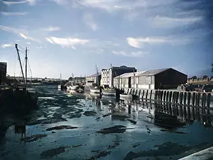 LOW TIDE AT NEWPORT