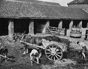 Grange: Lowdham Grange Borstal Institution - Farm Work