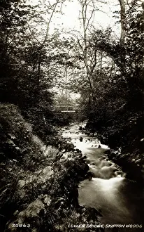 Skipton: Lower Bridge, Skipton Woods, Skipton, Yorkshire