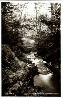 Skipton: Lower Bridge, Skipton Woods, Yorkshire