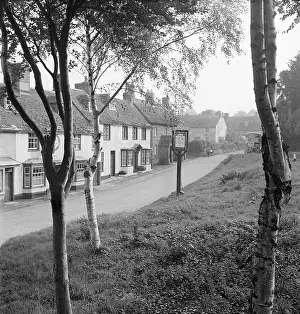 Stour: Lower Bryanston