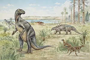 Ankylosauria: Lower Cretaceous dinosaurs discovered in England