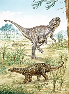 Megalosaurus: Lower Jurassic dinosaurs discovered in England