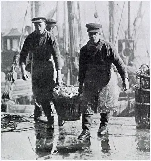 Anglian: Lowestoft - Herring Harvest 1906