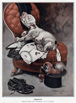 Pawprints: Loyalty by George Studdy