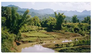 Nicola Swann: LUANG PRABANG/LAOS/ASIA