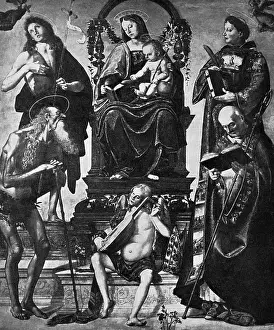 Luca: Luca Signorelli