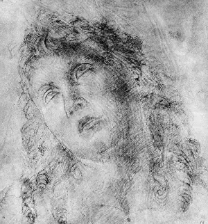 Luca: Luca Signorelli