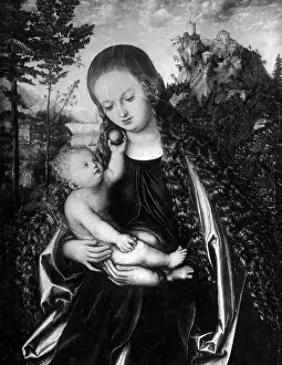 Cranach: Lucas Cranach the elder