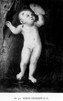 Cranach: Lucas Cranach the elder