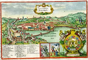 Bodenehr: Lucerne