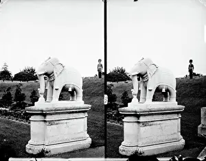 1870 1900: Lucknow Elephant