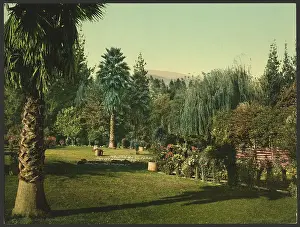 C1898: Lucky Baldwin's ranch, Pasadena