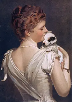 Lucky Dog