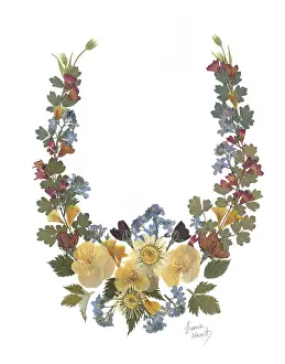 Forget Me Not: Lucky Horseshoe ? Violets, forget-me-not etc