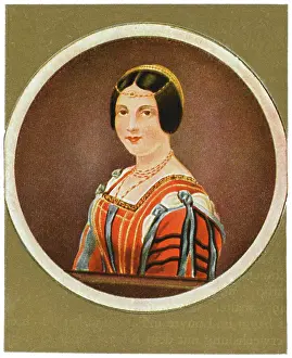 Lucrezia: LUCREZIA CRIVELLI