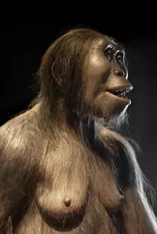 Ancestor: Lucy model, National Museum of Anthropology, Mexico City