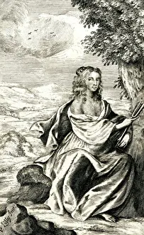 Lucasta: LUCY SACHEVERELL