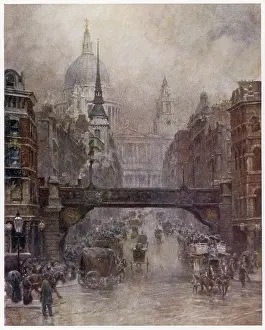 Ludgate: LUDGATE HILL/1905