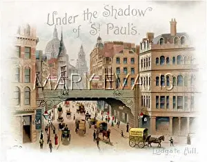 Treloar: LUDGATE HILL