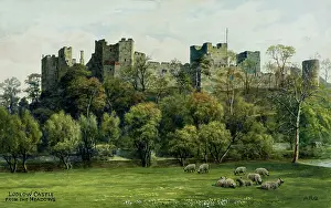 Ludlow: Ludlow Castle, Ludlow, Shropshire, viewed from the meadows