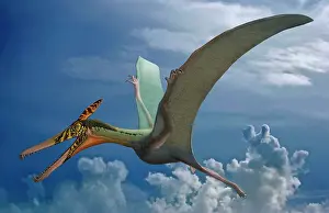 Wingspan: Ludodactylus sibbicki, a pterosaur from the Lower ?