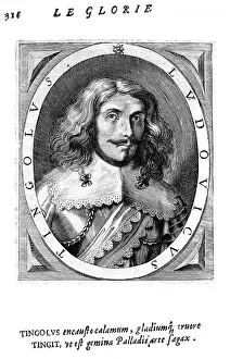 Rimini: LUDOVICO TINGOLI