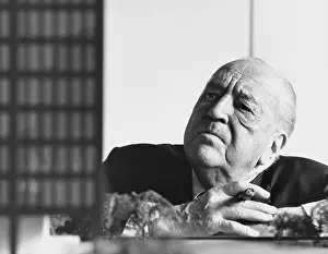 Rohe: Ludwig Mies van der Rohe