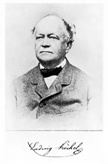Kochel: Ludwig Ritter von Kochel