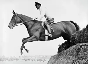 Eventing: Ludwig Stubbendorf