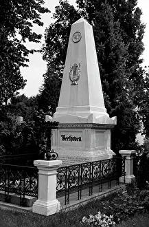 Sobolev: Ludwig van Beethoven's grave in Vienna