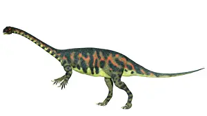 Sinemurian: Lufengosaurus hunei dinosaur, side view on white background