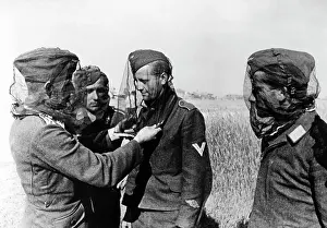 Mosquito: Luftwaffe soldiers - Eastern Front, 1941