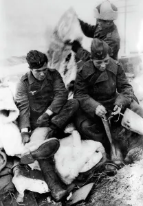 Felt: Luftwaffe soldiers receive winter equipment on the Eastern