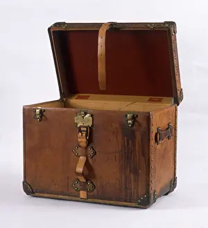 Straps: Luggage